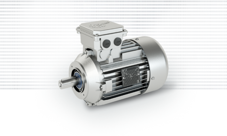 Two Speed Motors