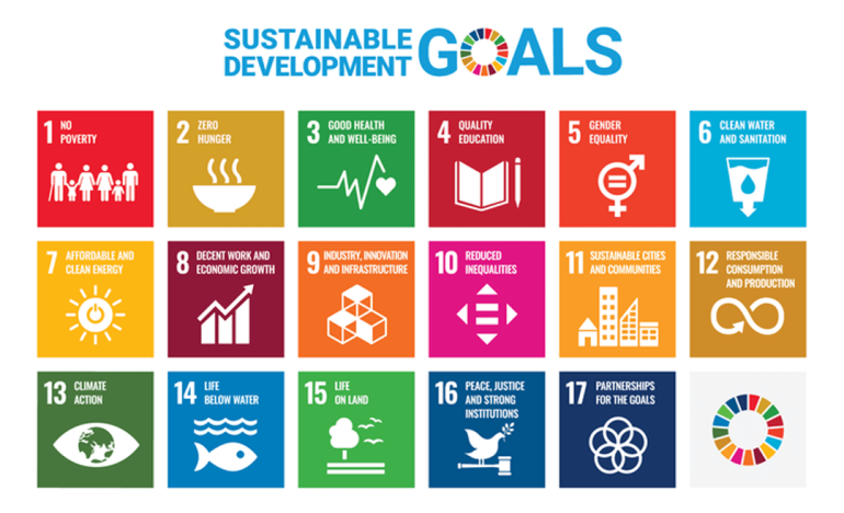 CSR UN Global Compact goals chart